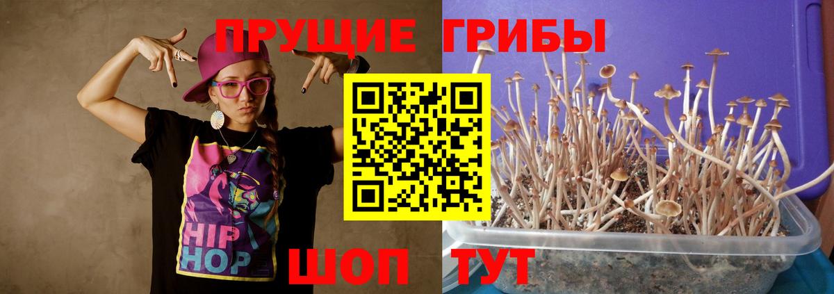 Белогорск  Галлюциногенные грибы GOLDEN TEACHER  закладка  Вход с VPN 